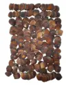 Brown Cockel schelpen 1 kilo