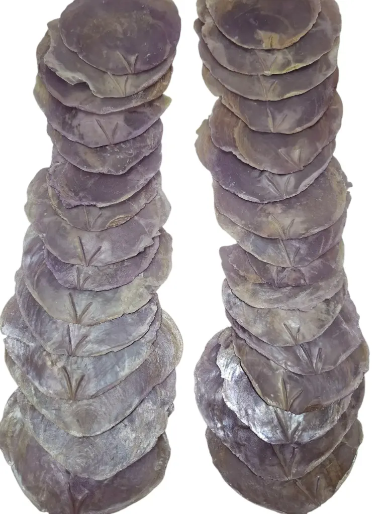 Capiz shell Camar lila 500 gram Geverfde schelpen
