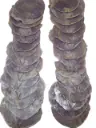 Capiz shell Camar lila 500 gram Geverfde schelpen