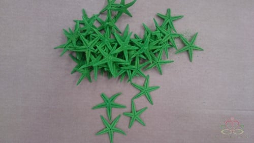Zeesterren Appelgroen ca. 2 inch 50 stuks