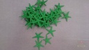 Zeesterren Appelgroen ca. 2 inch 50 stuks