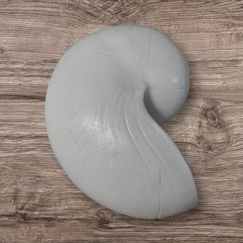Nautilus schelp Resin Wit 5x8x5 cm per stuk