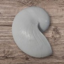 Nautilus schelp Resin Wit 5x8x5 cm per stuk