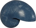 Nautilus schelp Resin Blauw 5x8x5 cm per stuk