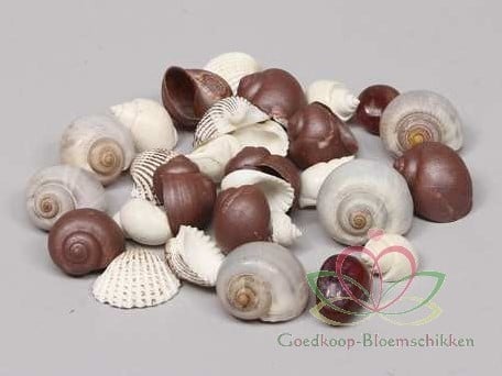 Schelpenmix Deluxe Donkerbruin 350 gram