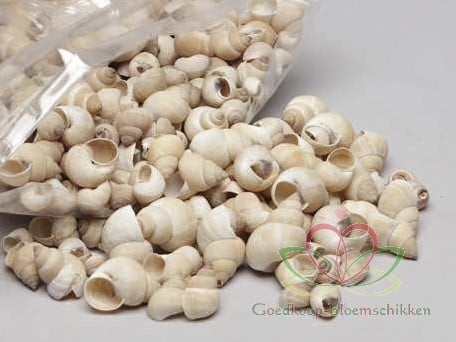Umachi Schelpen Naturel 1 kilo
