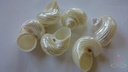 Turbo Zilvermouth Schelpen Parelmoer 5 cm 6 stuks
