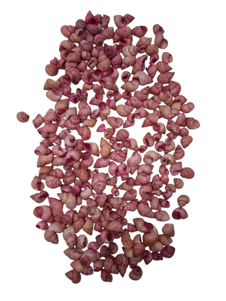 Umachi Schelpen Zachtroze 250 gram