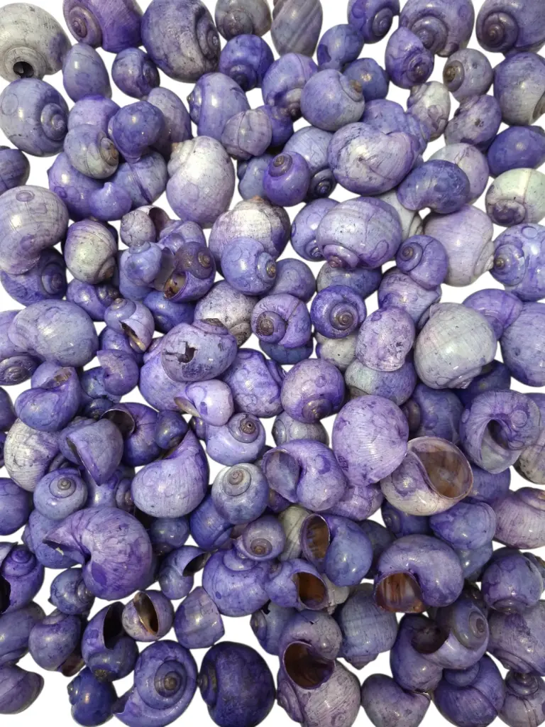 Nattai schelpen Lila-Paars Washed 1 kilo