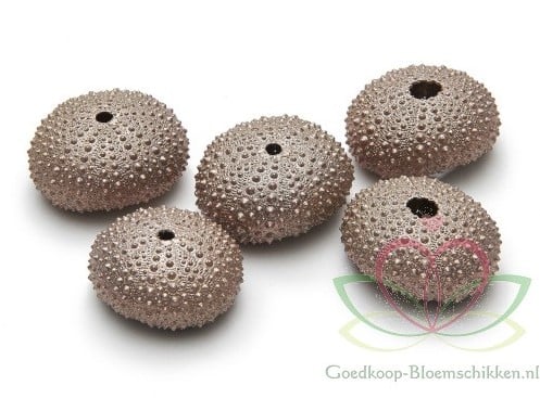 Zeeegel Koper 25 stuks
