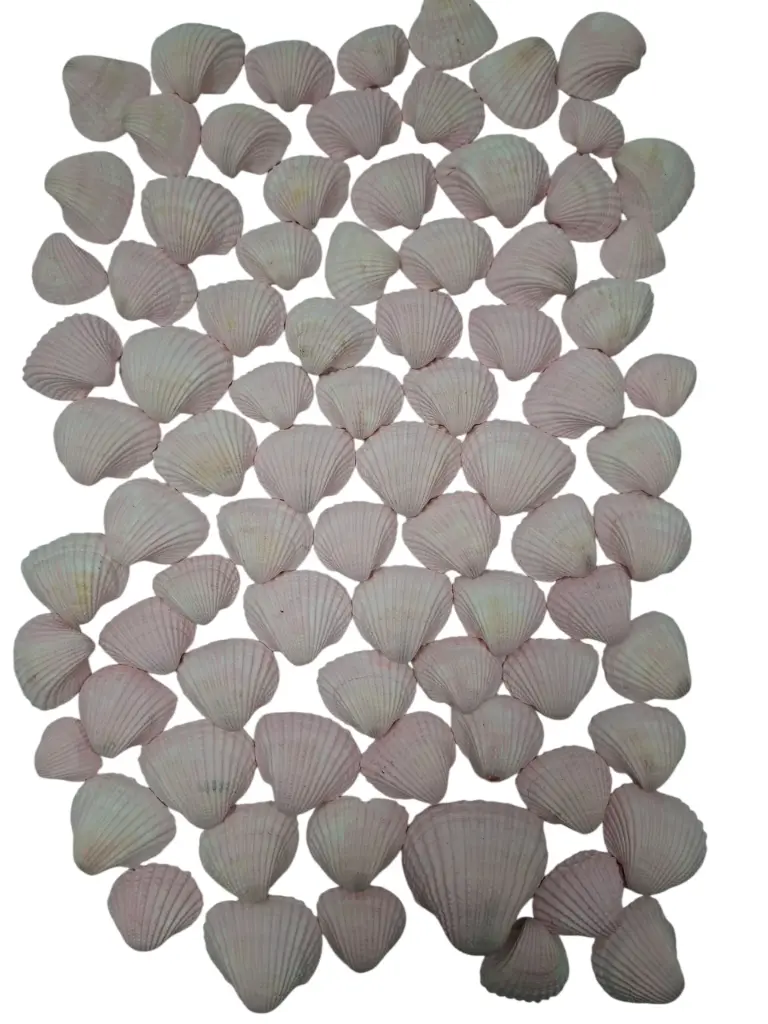 Chippy Pastel schelpen Pink washed 1 kilo