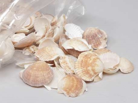 Fan Chippy schelpen 1 kilo