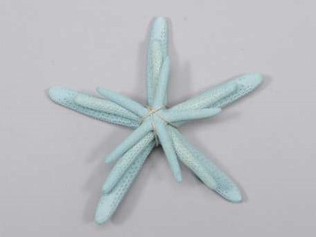 Zeester Starfish Blauw ca. 5-10 cm Set van 3 stuks