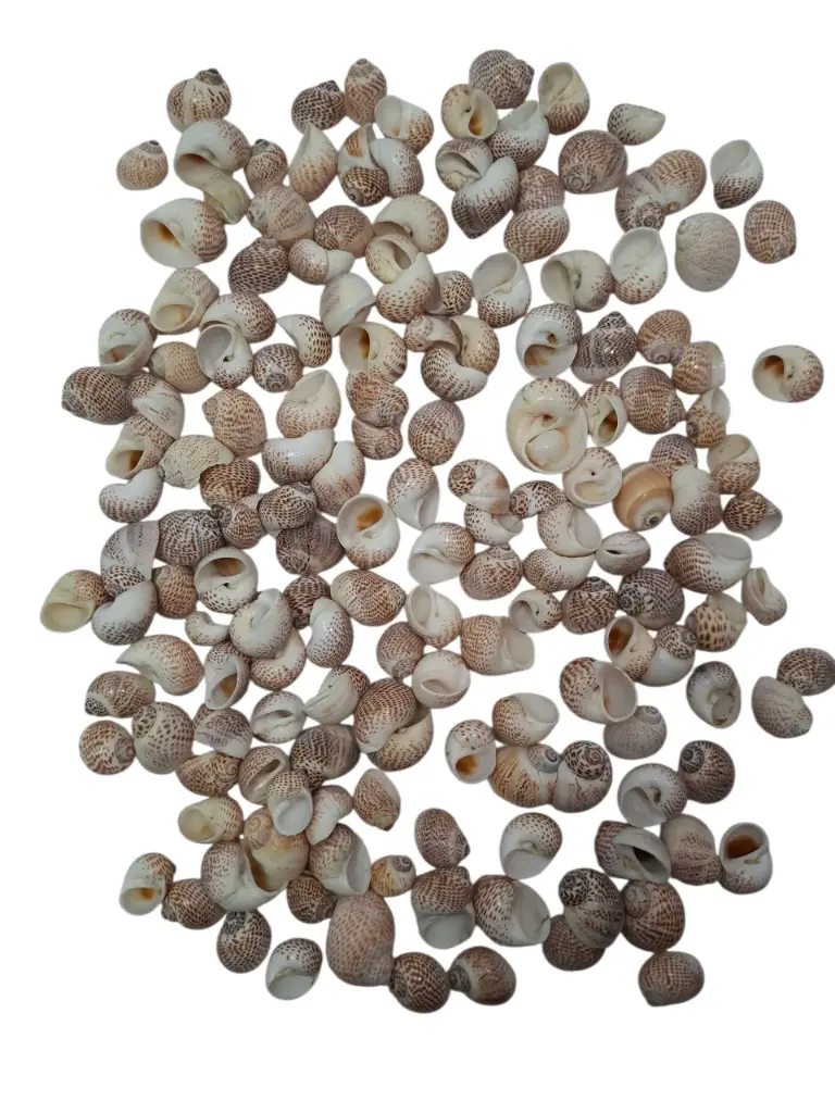 Pull Muttai Schelpen Naturel 500 gram