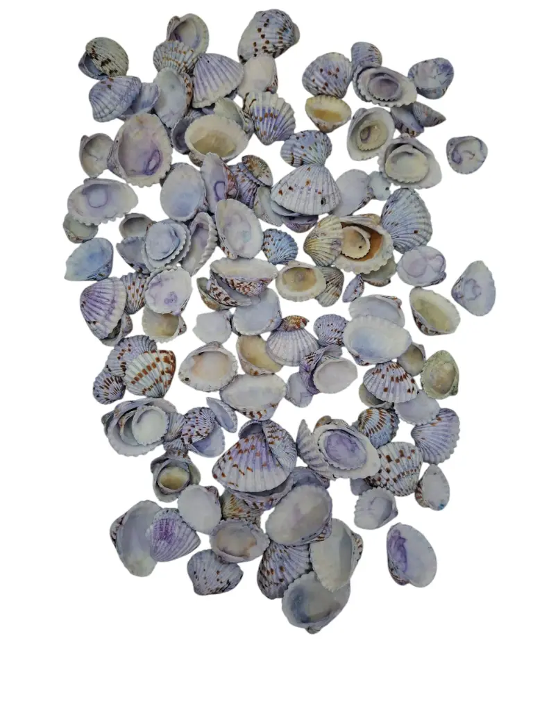 Tiger Chippy Schelpen Blauw 500 gram