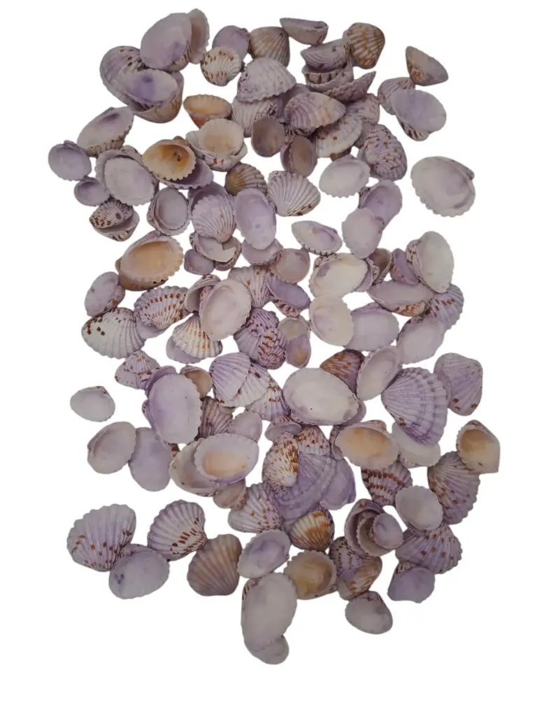 Tiger Chippy Schelpen Lila 500 gram