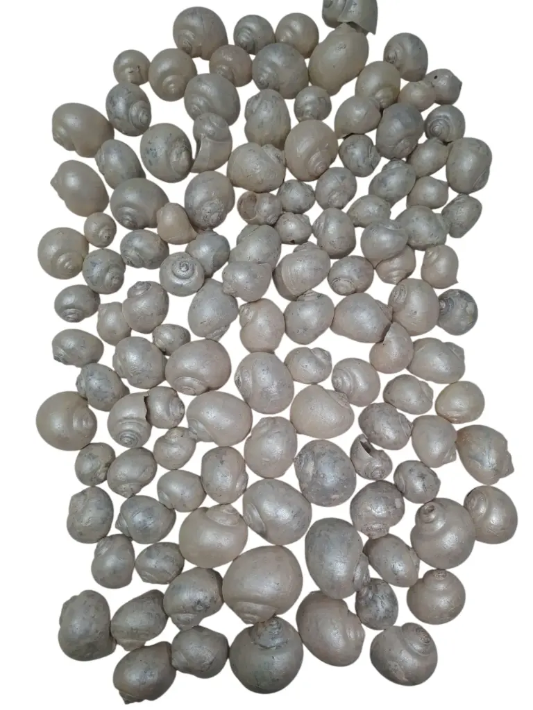 Nattai schelpen Parelmoer Wit 500 gram
