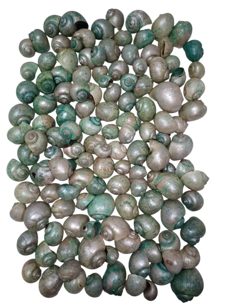 Nattai schelpen Parelmoer Groen 500 gram