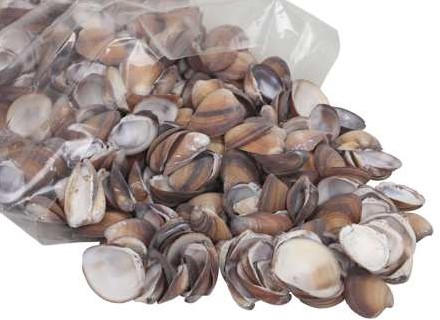 Brown Chippy schelpen 1 kilo