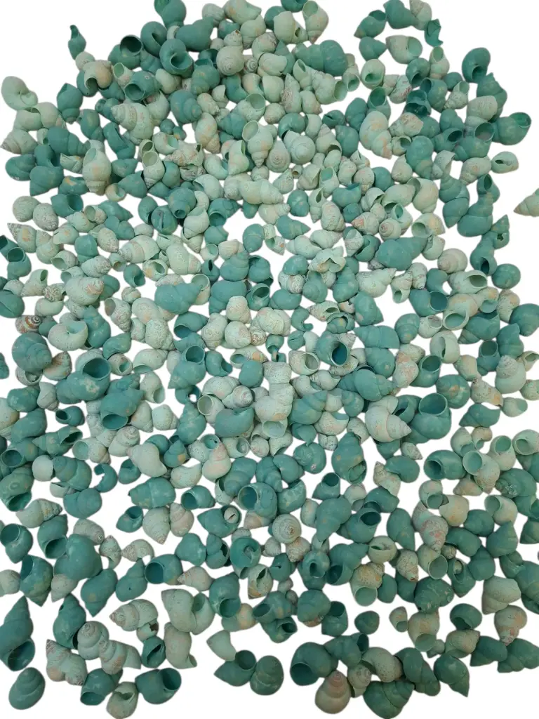 Umachi Schelpen Groen 500 gram