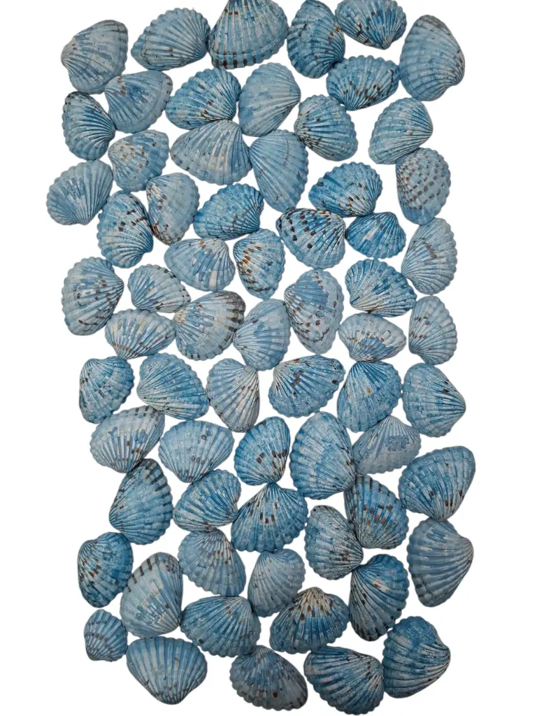 Tiger Chippy Schelpen Blauw 500 gram