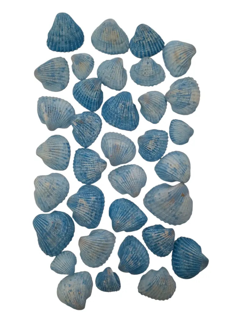 White Chippy Schelpen Blauw 500 gram