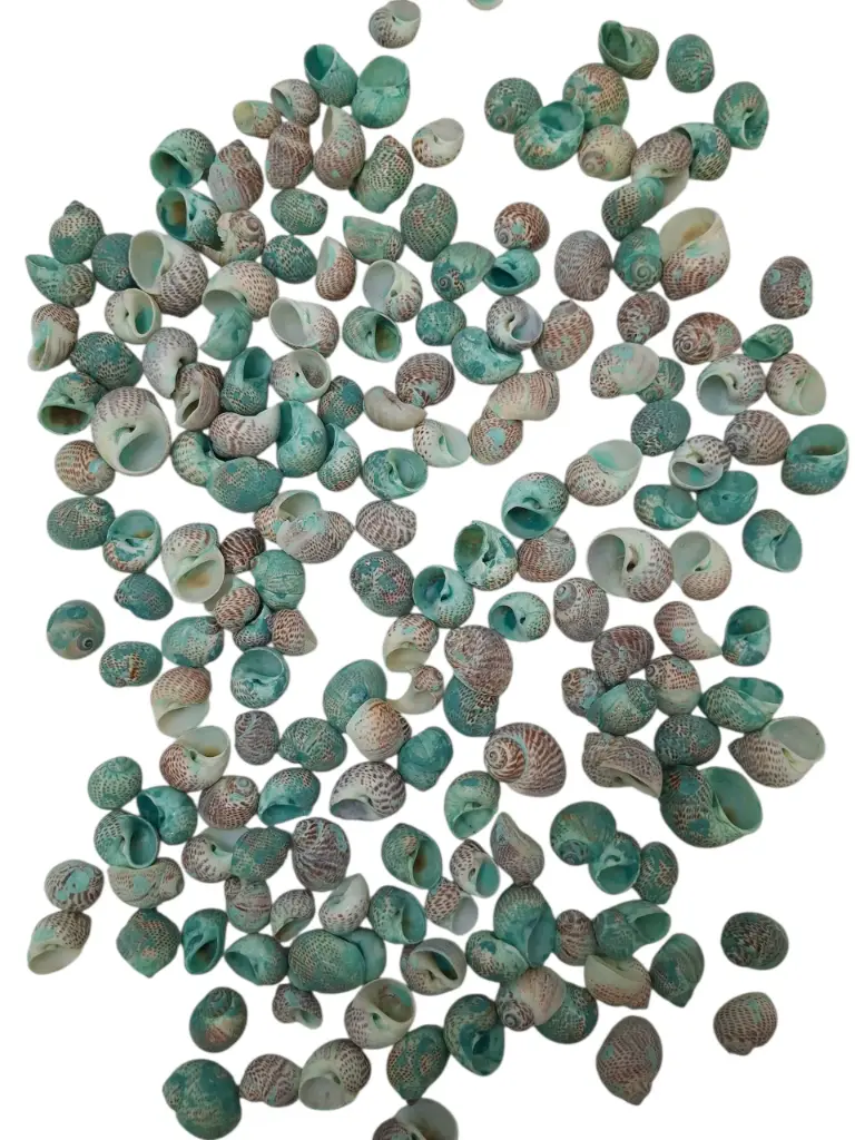 Pulla Muttai Schelpen Groen 500 gram