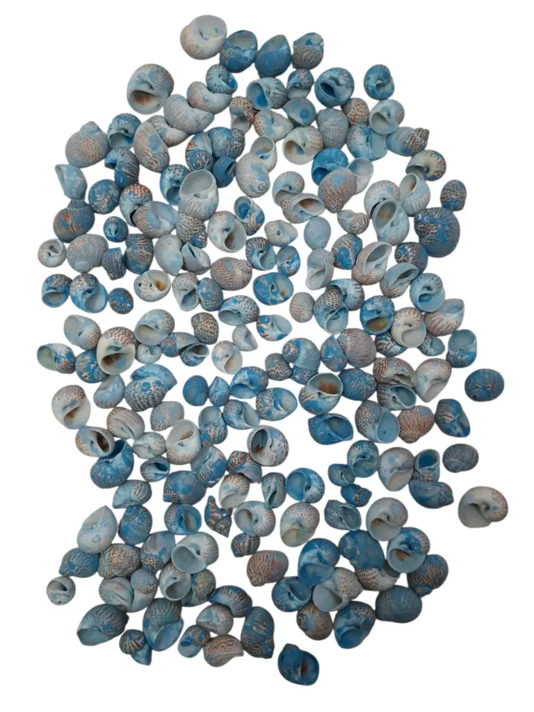 Pulla Muttai Schelpen Blauw 500 gram