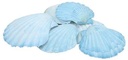 Schelp Fan Chippy Giant - Jacobsschelp blauw, 6 stuks oa. voor beschilderen