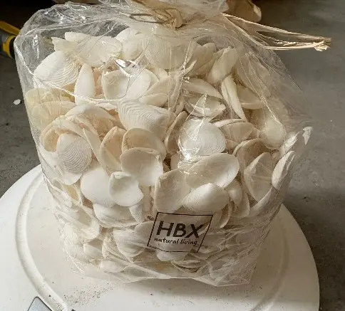 White Cay Cay Witte schelpjes 850 gram