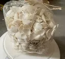 White Cay Cay Witte schelpjes 850 gram
