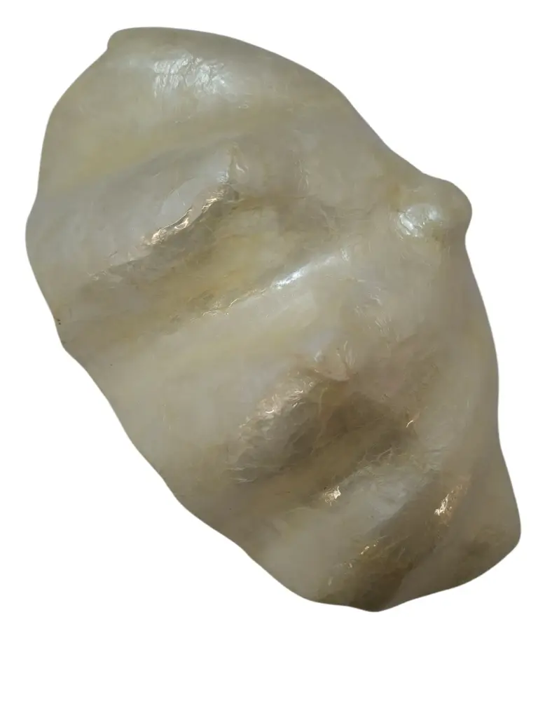 Capiz Clam Plate schelpen Natural 30x17x13 cm