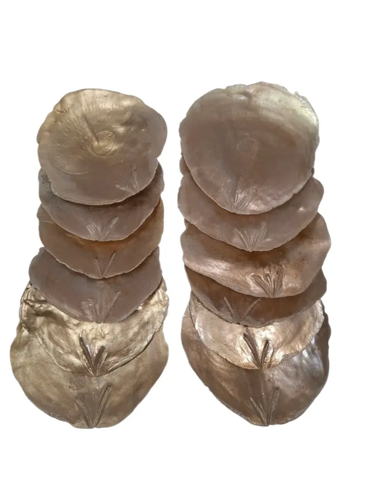 Capiz Camar schelpen Goud 250 gram