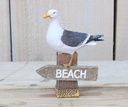 Meeuw Maritiem op Paalhoofd Beach Groot