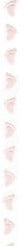 Lint Organza transparant met rose voetjes / rol 20 