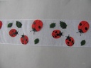 Lieveheersbeestje 38 mm breed rol 15 meter