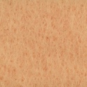 Viltlapje Zalm 20x30 cm 1mm dik per stuk
