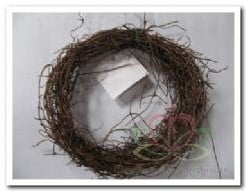 Salimkransje muehlenbeckia dun Ø15 cm