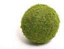 Bol mos Bal mos Asiamos mosbal 20 cm