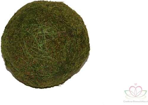 Bol mos Bal mos Platmos mosbal 4 cm Zak 20 stuks