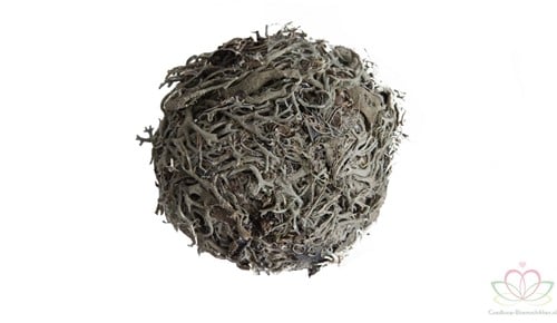 Bol mos Bal mos Boommos mosbal 4 cm Zak 20 stuks