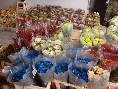 Bloemenzuigverf voor verse bloemen Blauw 100 gram
