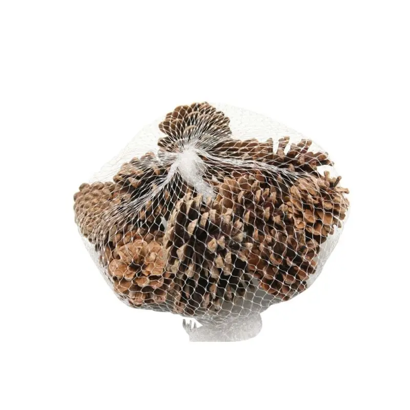 Dennenappels Oostenrijkers Blue Pine 15 stuks