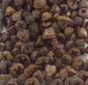 Eucalyptus klokjes 1000gr