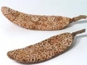 Kurkschijven Cork Slices 4 cm 50 stuks