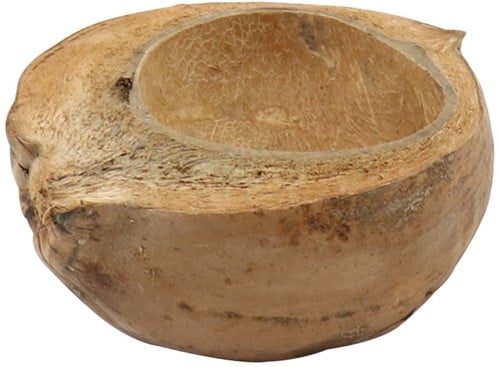 Kokosnoot Naturel halve 18-20 cm per stuk