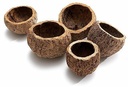 Ourico Naturel stuk 