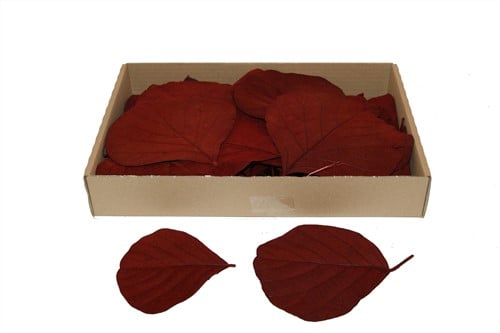 Cobrablad Bordeaux Rood doos ca. 100 stuks