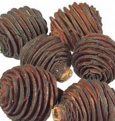 Platyspernum zak 1 kilo voordeelverpakking