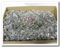 Birch Pine Frosted doos 500 gram